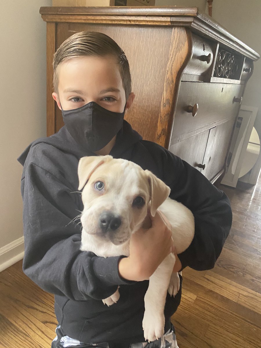 ET_23's tweet photo. @dog_rates @budweiserusa #Pupweiser #kobe #rescued https://t.co/rBQT1N7QKO