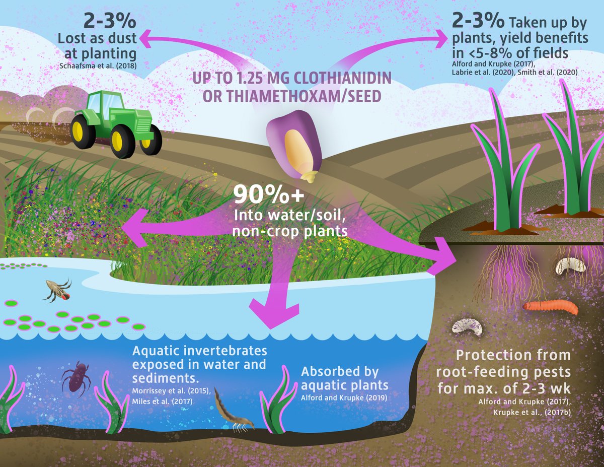 A recent collaboration with <a href="/jftooker/">John Tooker</a>: neonicotinoid environmental fate, effects on crop yields and effects on insects that aren't pests or pollinators.  
frontiersin.org/articles/10.33…