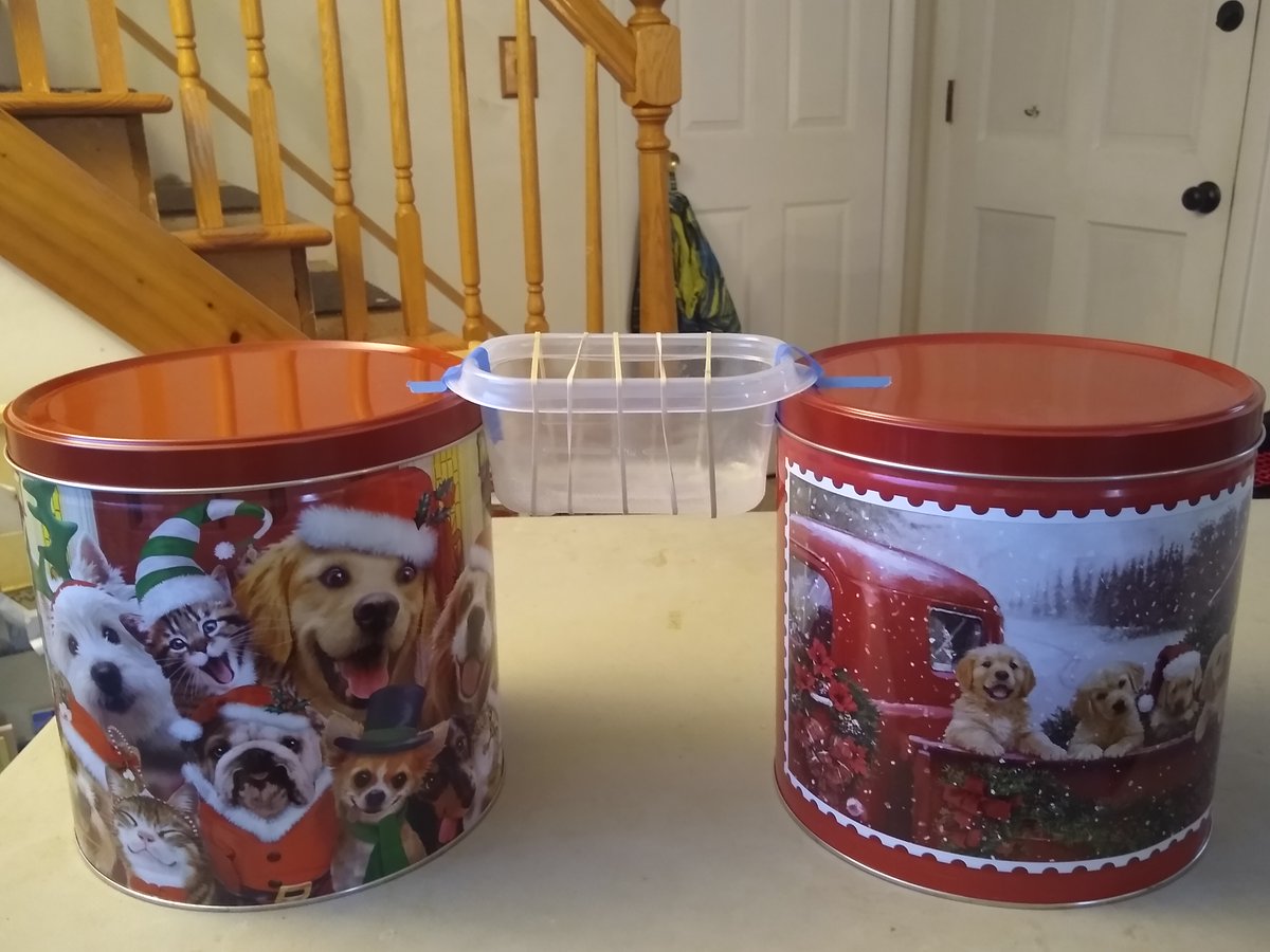 Gina Clark tweet media