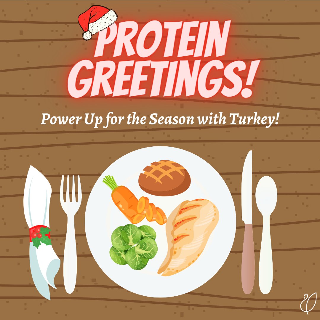 natlturkeyfed's tweet photo. On the third day of #12DaysOfTurkey, we're giving you 3 oz. of lean protein! Just 3 oz. of turkey gives you more than half of your daily value of protein. So, gobble up some turkey and get fueled for that last minute holiday shopping! πͺπ https://t.co/96NrW4mAON