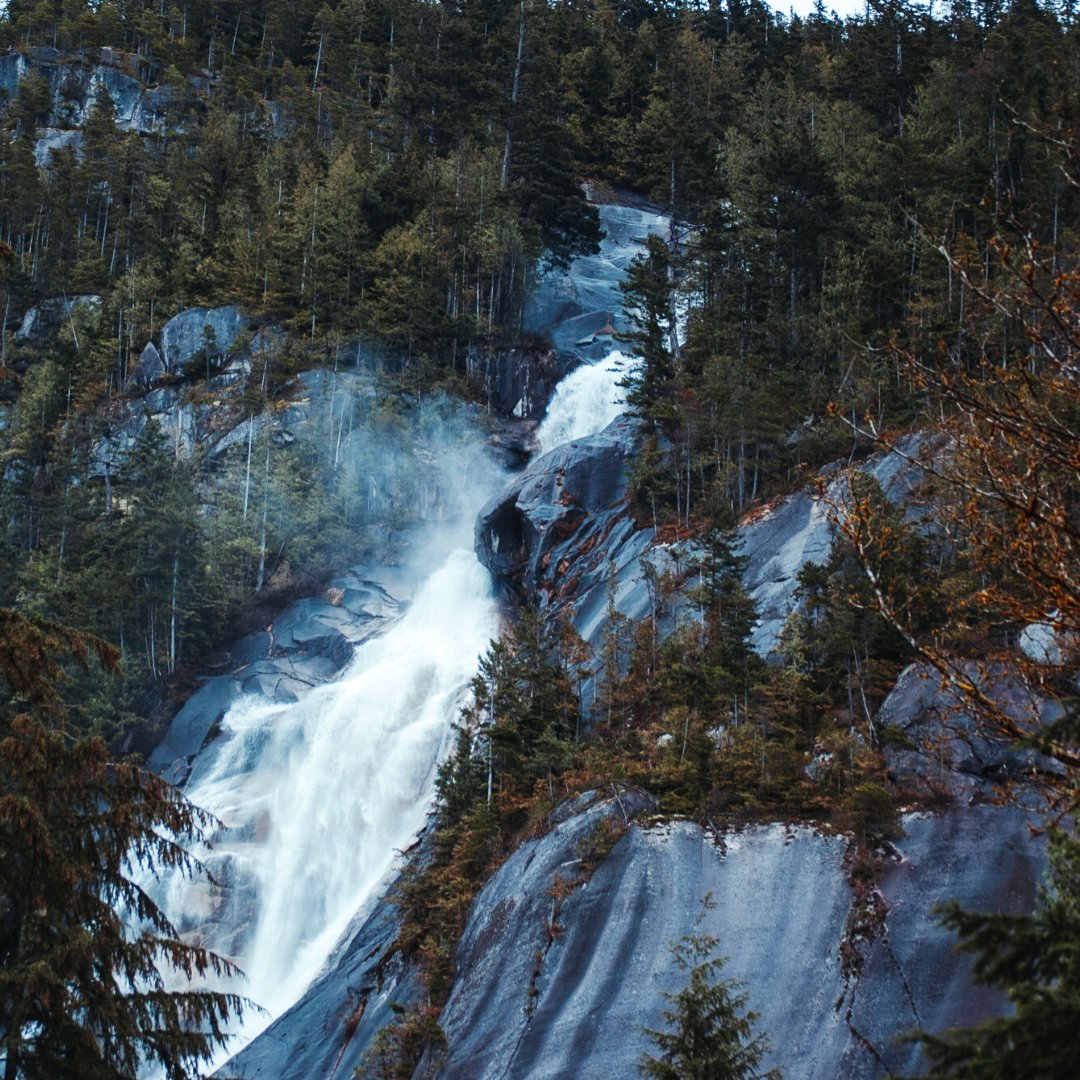 Waterfall Wednesday!

Which one is your favourite?

📸 credit:  @connordanylenkovisuals

#Quupe #QuupeLife #Rental #RentFilmGear #HireACamera #Canon #Sony #Nikon #Lens #Photography #Capture #Shoot #CameraOnRent #WaterfallWednesday #FrozenWaterfall #Vancouver #BritishColumbia