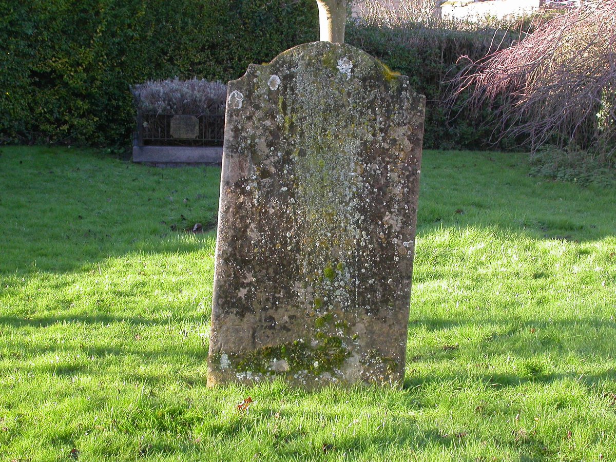 Here we have a limestone gravestone with over twenty species of lichens. Note that there is a vertical central zone where grey lichens are more exuberant. The stone leans slightly away from us. Droppings from perching birds fall mainly on this side and mainly below the apex.