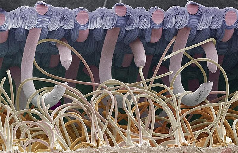 15. VELCROIf you've never seen velcro under a microscope, you should. It's literally just tiny hooks grabbing tiny loops. Who had the audacity to invent that?