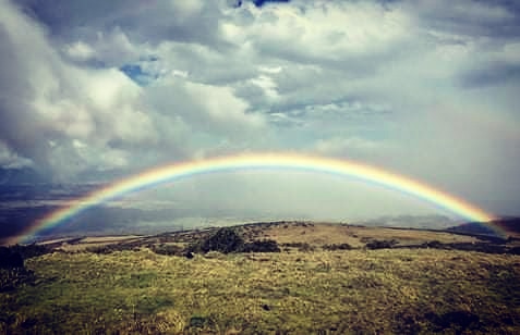 RedCrossCph's tweet image. 🌈 Det bliver godt igen 🌈

Indtil da kan du få hjælp fra de skønne medmennesker, som er en del af Røde Kors' Hjælpenetværk Parat. 

Læs mere på rodekors.dk/parat