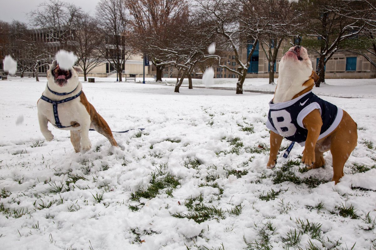 ButlerBlue3 tweet picture
