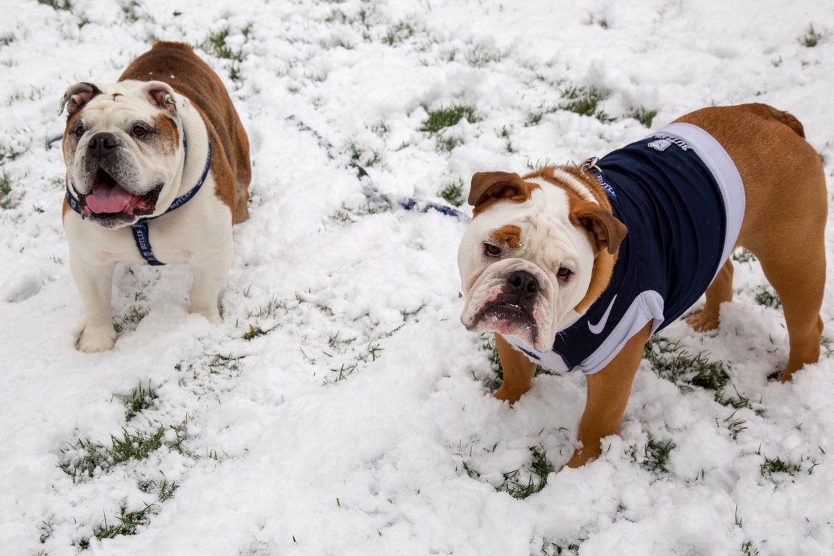 ButlerBlue3 tweet picture