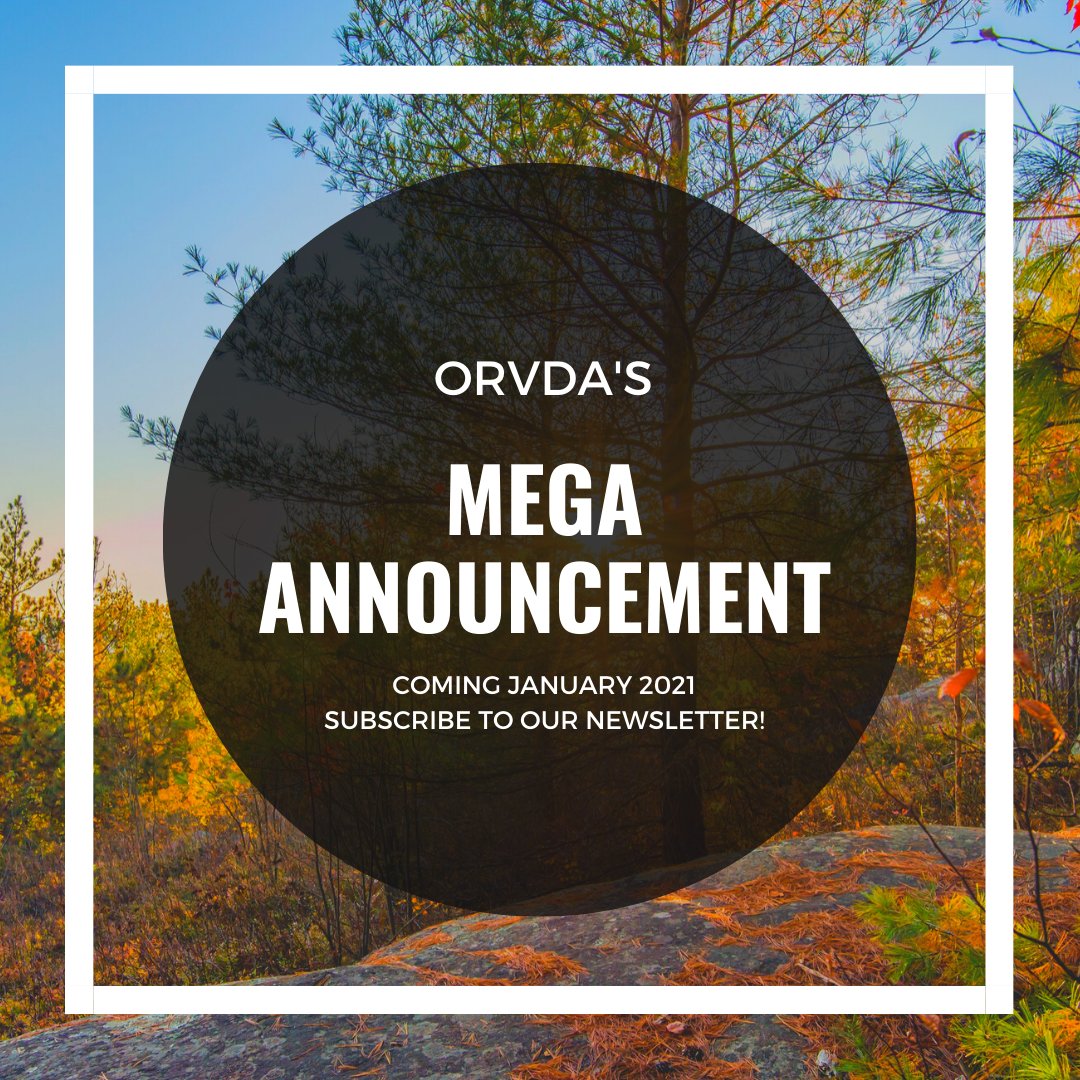 yyzrvshow's tweet image. The 𝓞𝓷𝓽𝓪𝓻𝓲𝓸 𝓡𝓥 𝓓𝓮𝓪𝓵𝓮𝓻 𝓐𝓼𝓼𝓸𝓬𝓲𝓪𝓽𝓲𝓸𝓷 has a MEGA announcement 📣📣.......Coming January 2021 🙊.  Subscribe to our newsletters for MEGA details.  💥💥💥 #ORVDA #MEGAnews #subscribe