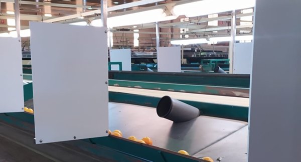 agrodiariohuelva.es tweet media