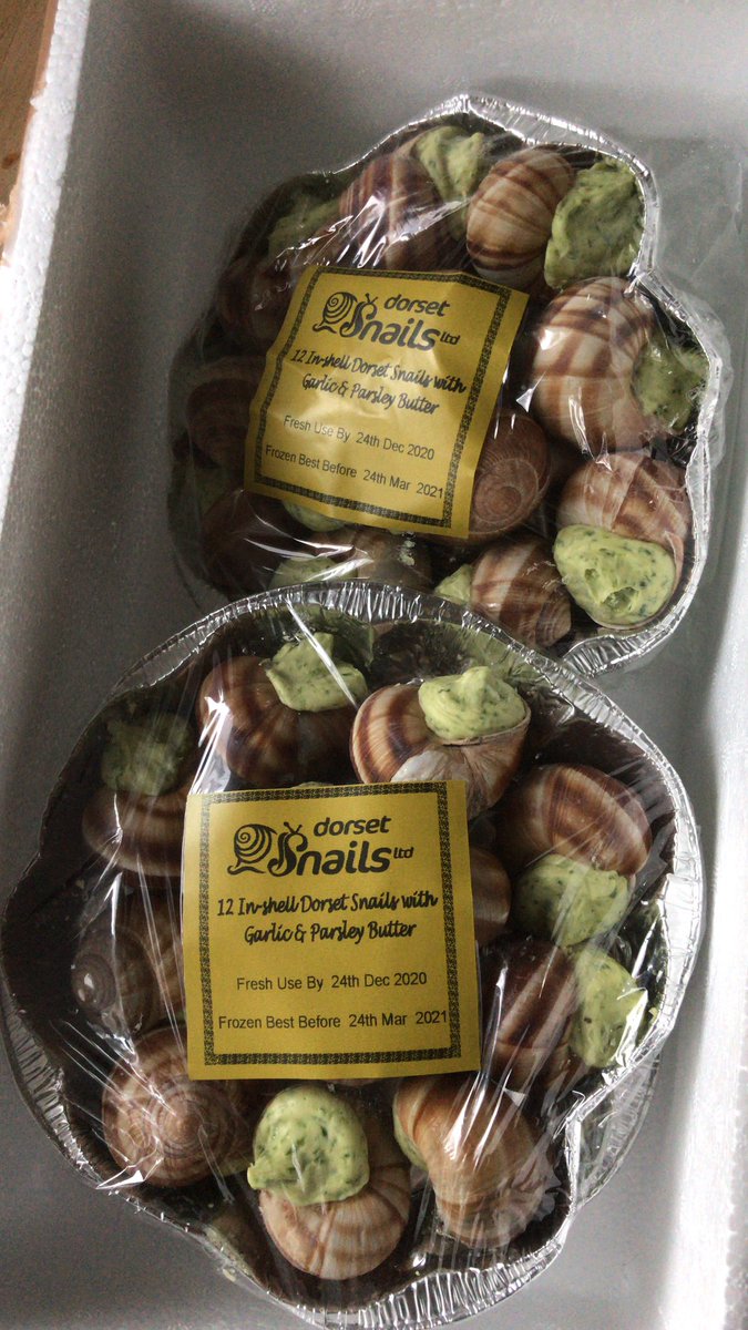 estherltd's tweet photo. These beauties arrived today: British #escargot for a French woman. Over the moon! @Dorset_snails #snailsforchristmas https://t.co/dnQ91L2R8r