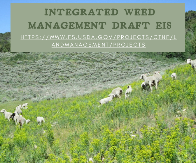 Caribou_Targhee's tweet photo. The #official #commentperiod for the Integrated Weed Management #DraftEIS starts today. Learn how the #Forest intends to manage #noxious and #invasive plants at More information about the project and how to #comment visit https://t.co/EhLTWkhjZb. https://t.co/vbJwgkqiJI