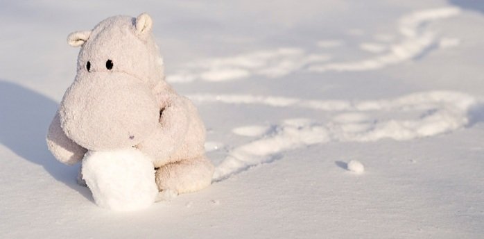 The Healthy Hippo (@healthyhippo2_0) on Twitter photo 