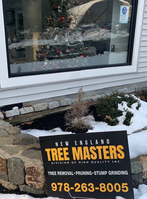 NETreeMasters's tweet image. Signs of the Christmas Season🎄at New England Tree Masters! Our letter to Santa🎅 mailbox next to our TREE🌳soon to be SNOW❄️covered! 
Stay SAFE &amp;amp; Well with pending Nor'easter! 
*Call 978-263-8005 for 24-7 Emergency tree service* 
#treeservice #Boxborough #ActonMA