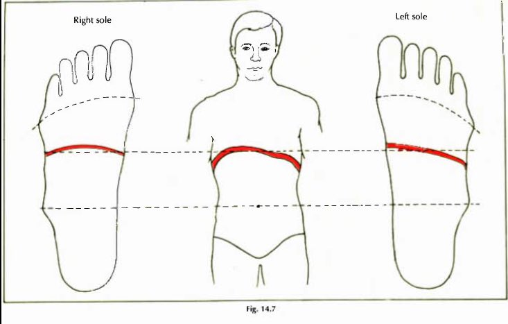 NikkiNikolee17's tweet photo. @i_mdjc Presiona en tu pie donde esta la linea roja atrasada y haz ejercicios de deep breath. https://t.co/qBQ2OZGzxO