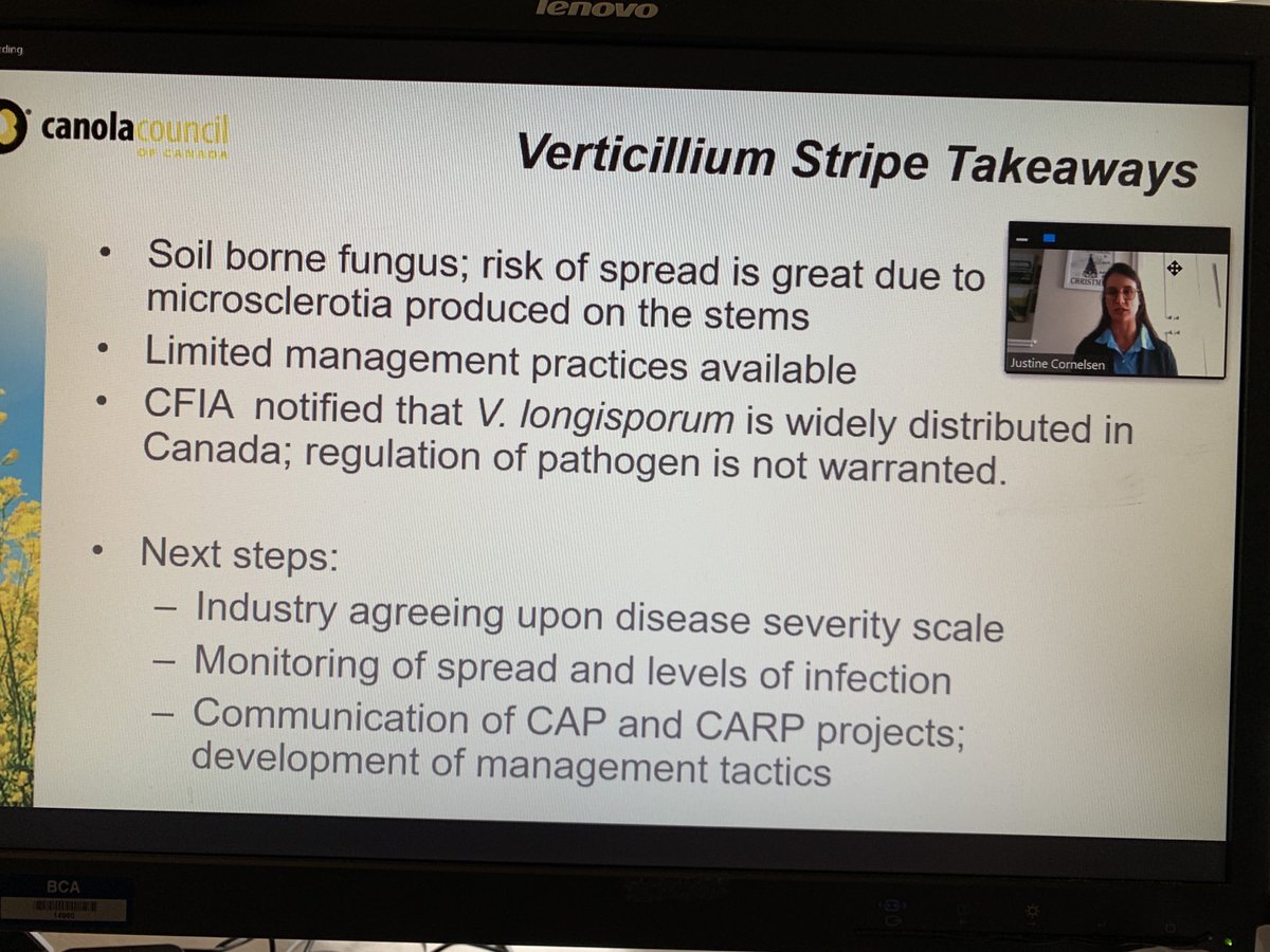 haroldbrownagro's tweet photo. Dr. Andreas von Tiedeman and Justine Cornelson speaking on the “great imitator” Verticilium stripe. Very interesting. #MBAgron20 https://t.co/VQEpAy15mW