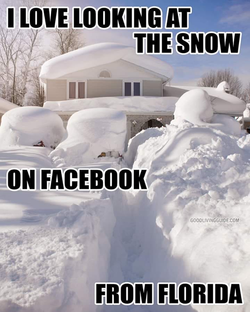 dbsmithiii's tweet photo. Hope all my northern and western friends are safe in the snow... #FloridaLiving https://t.co/NoyiBzfrCe
