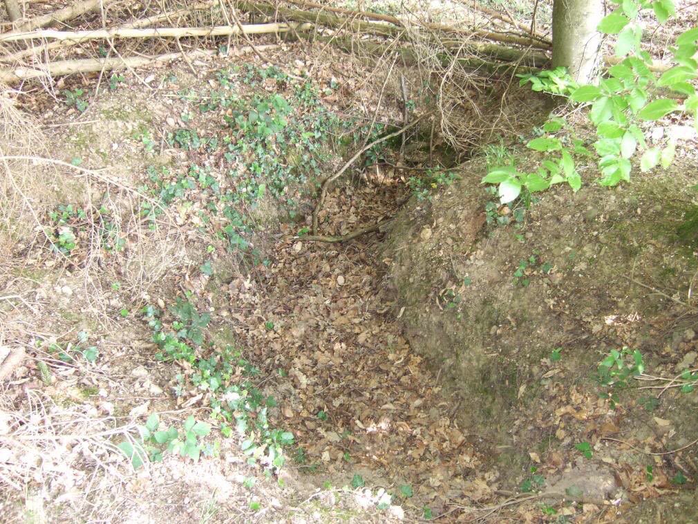 On the heights of the Hoesdorf plateau, 2nd Btl 109th under Major William J Maroney’s men occupied 7 outposts amongst their foxholes & bunkers. L Coy under Captain Embert Fossum occupied the woods on the extreme right of the plateau overlooking Reisdorf. 10)