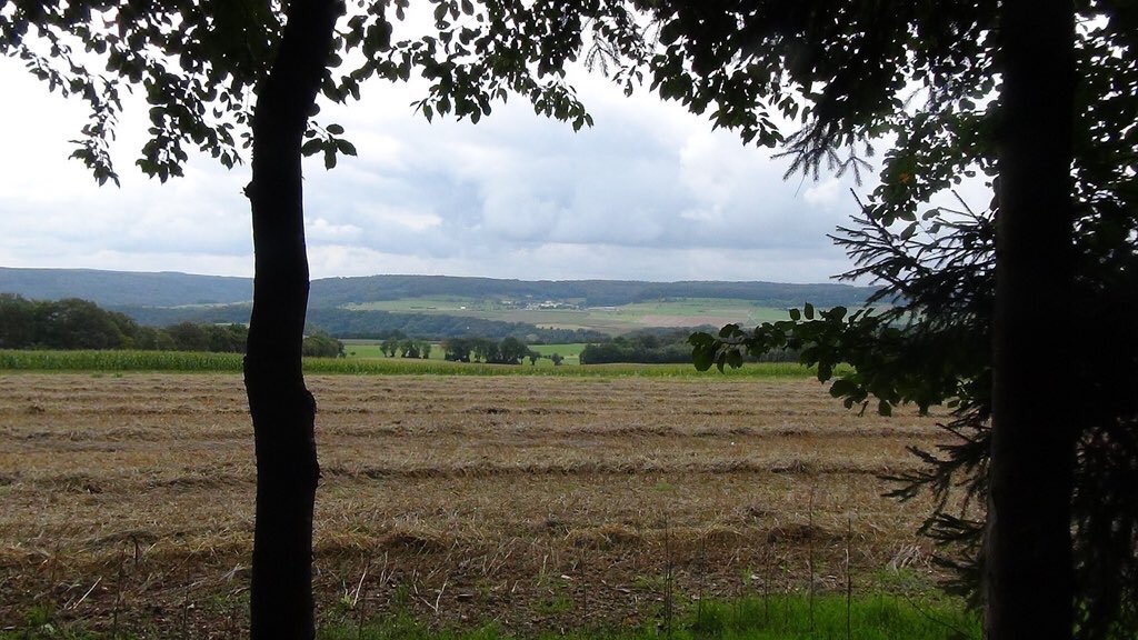 On the heights of the Hoesdorf plateau, 2nd Btl 109th under Major William J Maroney’s men occupied 7 outposts amongst their foxholes & bunkers. L Coy under Captain Embert Fossum occupied the woods on the extreme right of the plateau overlooking Reisdorf. 10)