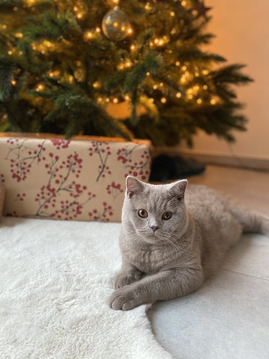 Jeroomie in kerstmood🎄🎁🎅🏼