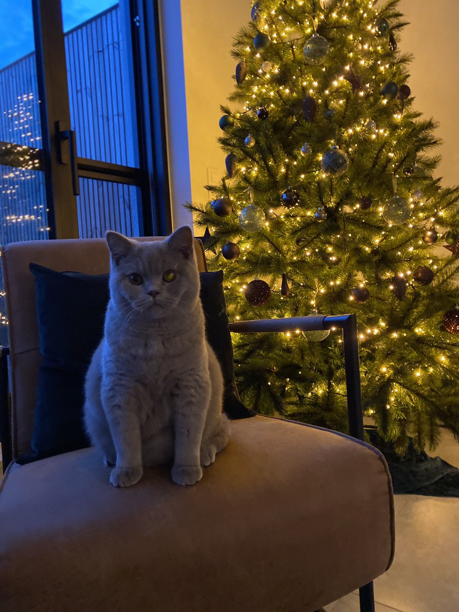 devolderhanne's tweet photo. Jeroomie in kerstmood🎄🎁🎅🏼 https://t.co/tJxW352fAk
