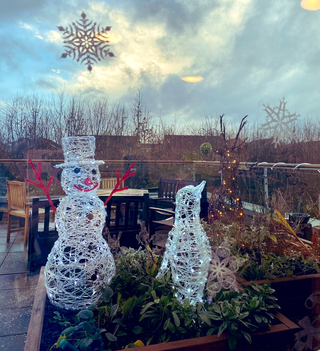 BexT_89's tweet photo. Gorgeous outdoor Christmas decorations on Edenview ward’s balcony 😍 @MidlothianHSCP #Christmas #Christmascheer ❄️ https://t.co/fRRB2KDTvN
