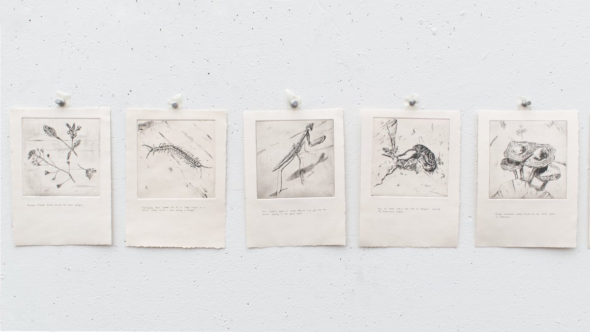 picsofwhatimake's tweet image. found delights 
series of 4x4 copper etchings