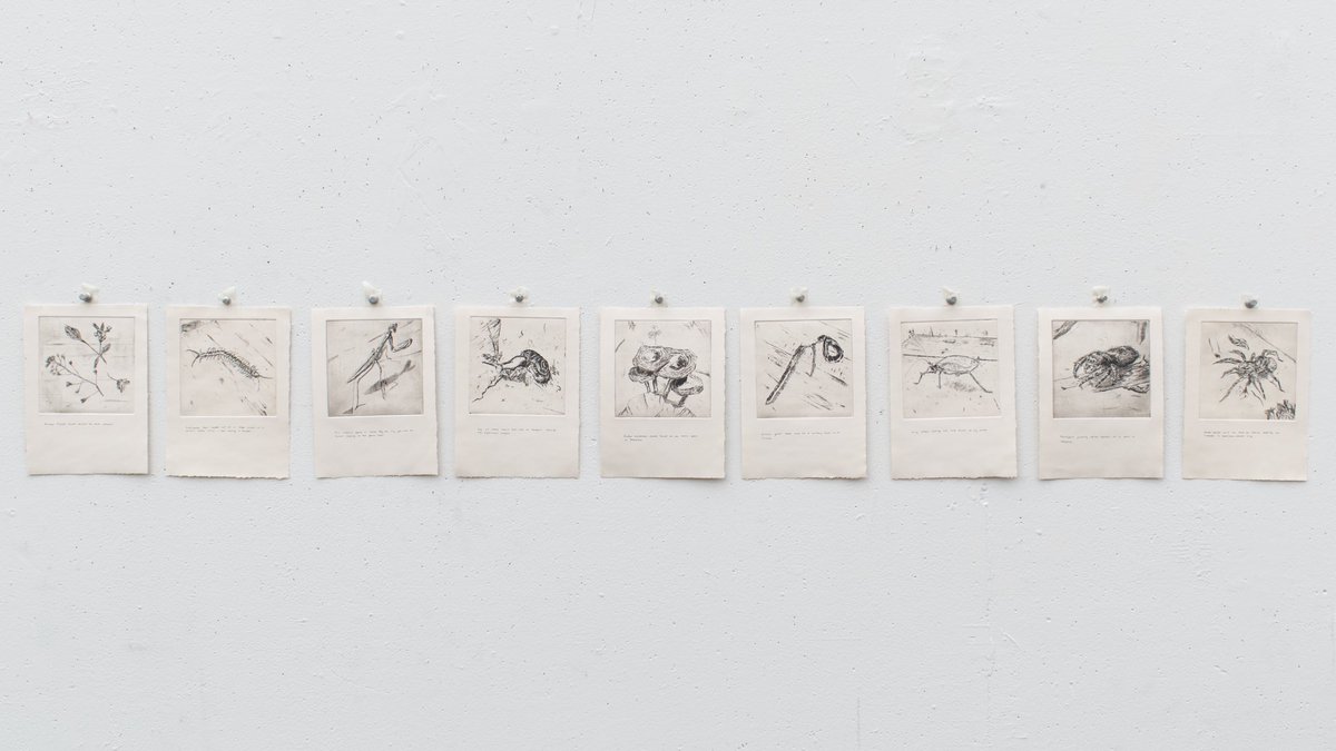 picsofwhatimake's tweet image. found delights 
series of 4x4 copper etchings