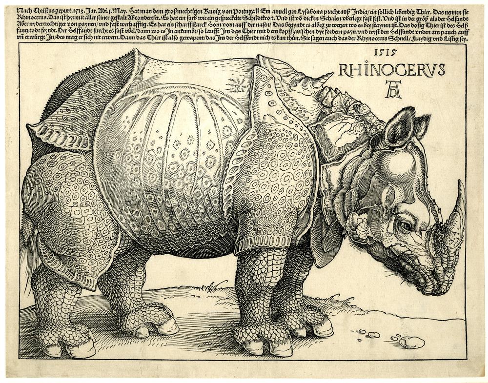 75. Dürer's RhinocerosA rhinoceros was brought from India to Portugal, but Dürer never saw itHe carved this woodcut from a sketch sent to himAnd his creation was seen by millions of Europeans