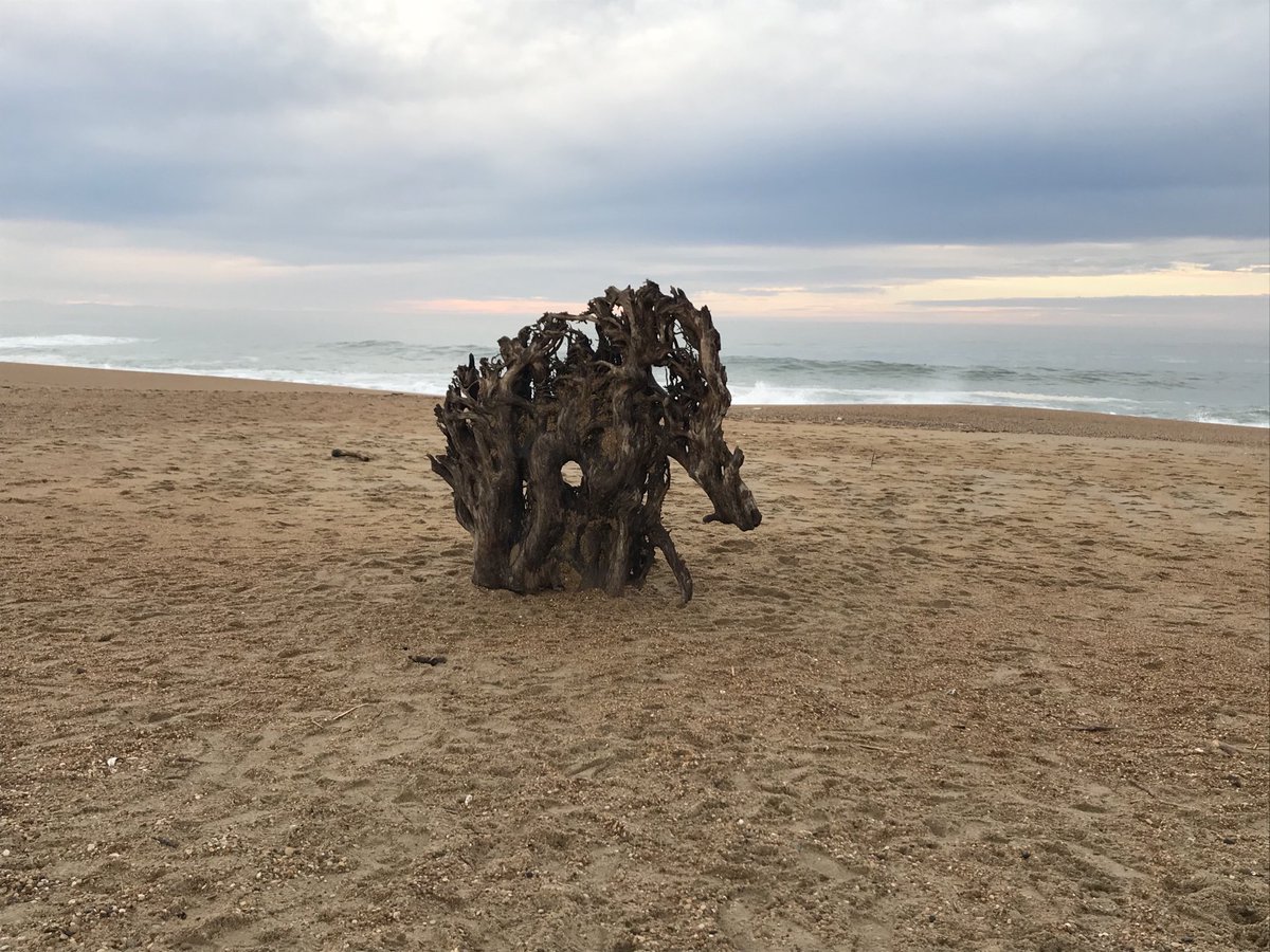 SandrineEstrade's tweet photo. Quand la nature créée son  œuvre d art ..... Anglet, plage https://t.co/MQmxRzflgM