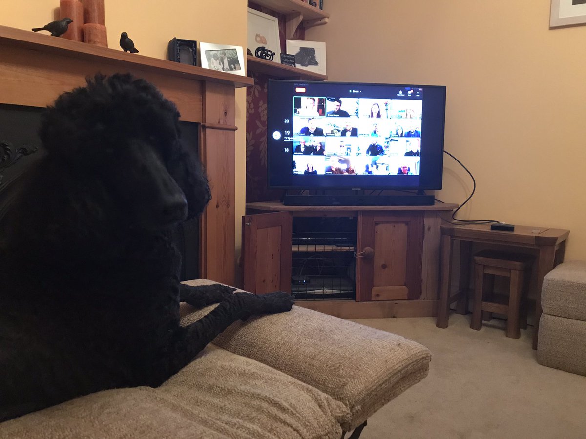 ThBalancedRider's tweet photo. @sarahkcomedy superb set for Christmas party at #Gattacca with #HettieThePoodle https://t.co/gYGhQ1tUFA