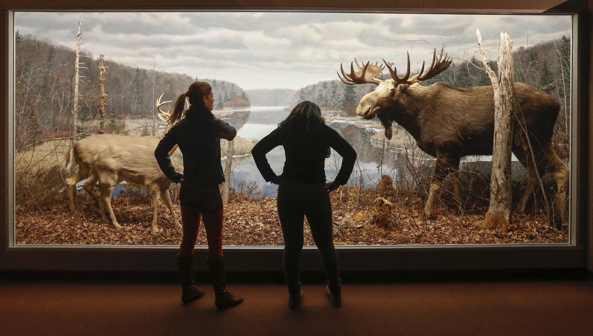The Museum of Natural History will be reopening to the public on Tuesday, December 22. Please consult our website for more info on holiday hours. naturalhistory.novascotia.ca

Public health guidelines will continue to be followed at our site.