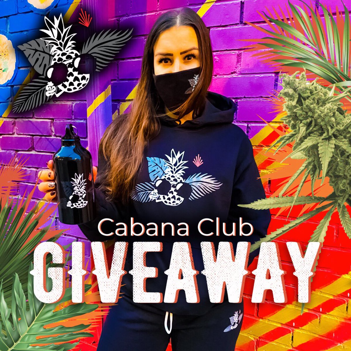 newleafcannabis's tweet photo. 🚨GIVEAWAY ALERT🚨⠀
 ⠀
Start spreading the good news.👍📰 ⠀
New Leaf is joining the @CannaCabana_ family!⠀
 ⠀
To celebrate we’re giving 3 lucky winners a party pineapple sesh suit! 🍍😎💨⠀

Enter on Instagram! https://t.co/RwglT4FUJ8