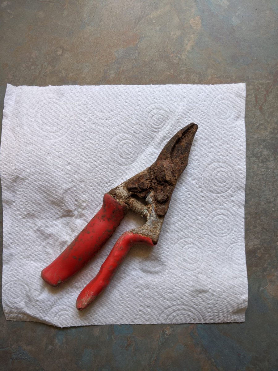 AlanEDown's tweet image. How about this? Friend lost then found these #secateurs in a compost heap. @FELCO_tools do a great job at bringing things back to life! 
Friend says “The turnaround was unbelievable“ I have to agree!
Before and after photos.