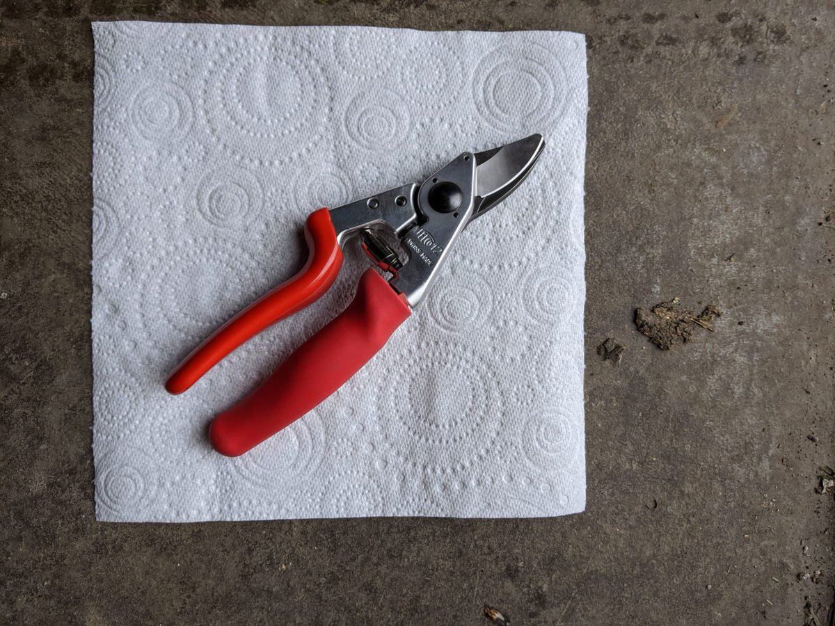 AlanEDown's tweet image. How about this? Friend lost then found these #secateurs in a compost heap. @FELCO_tools do a great job at bringing things back to life! 
Friend says “The turnaround was unbelievable“ I have to agree!
Before and after photos.
