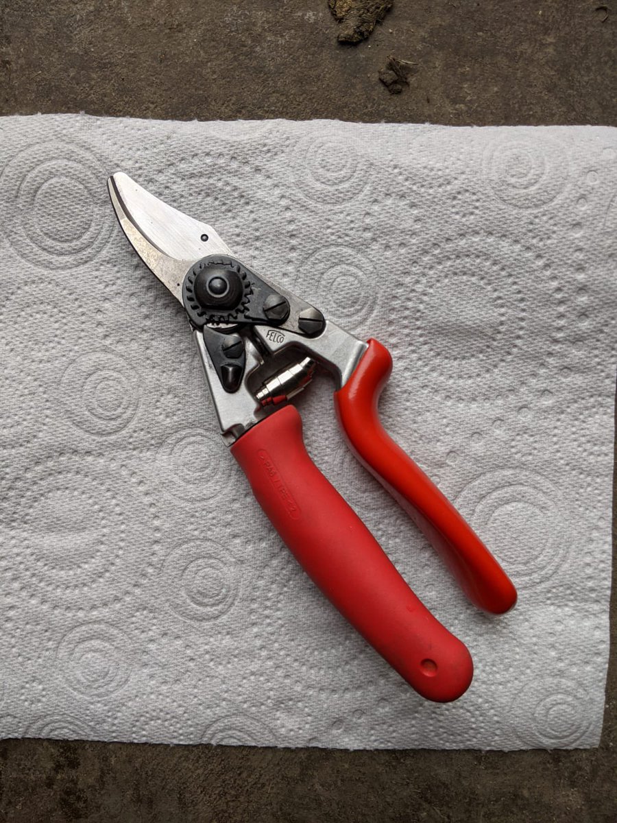 AlanEDown's tweet image. How about this? Friend lost then found these #secateurs in a compost heap. @FELCO_tools do a great job at bringing things back to life! 
Friend says “The turnaround was unbelievable“ I have to agree!
Before and after photos.