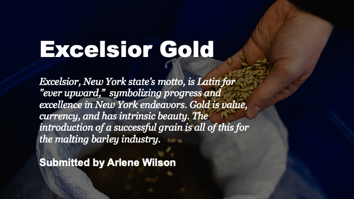 And the winner is... Excelsior Gold! Submitted by Arlene Wilson of <a href="/CCEYates/">CCE Yates County</a>, this will be the name of our new variety of spring malting barley designed to succeed in NY's wet climate &amp; support the state’s $5 billion #craftbeer industry. #thinkNYdrinkNY
cals.cornell.edu/name-grain-cor…
