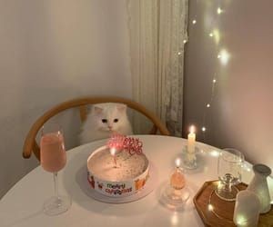 ShouldHaveCat's tweet photo. https://t.co/4gL9raQj72