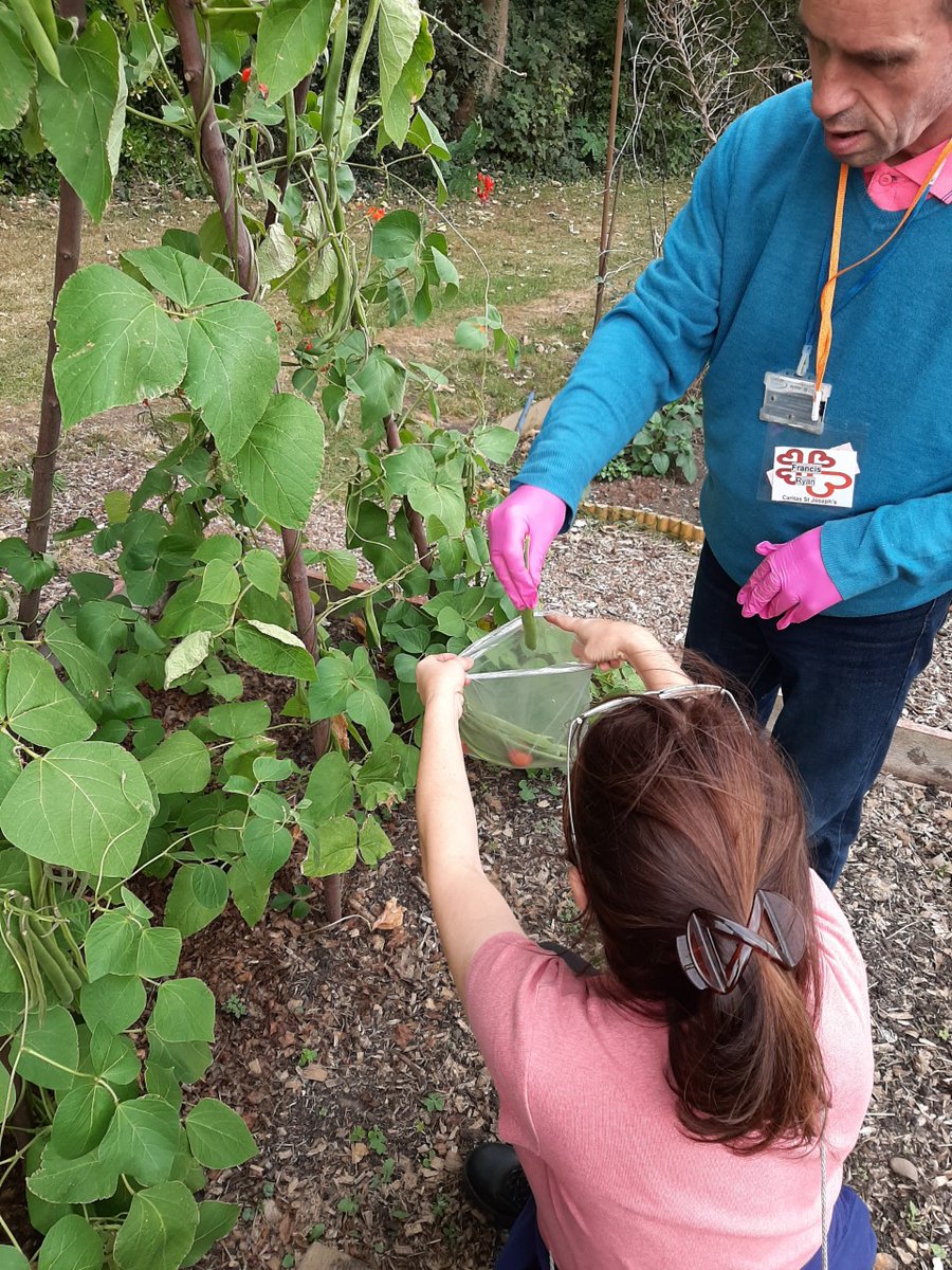 RCWestminster's tweet image. This December, students @CaritasWestm St Joseph's, a lifelong learning centre for adults with intellectual disabilities, have been proudly selling vegetables harvested from the centre's own allotment as part of their horticulture lessons.

Read more: bit.ly/3ajrsVq