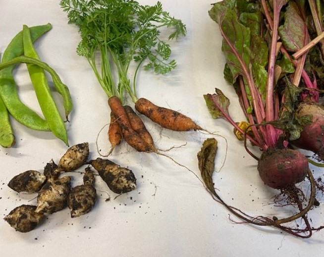 Westminster Diocese (@rcwestminster) on Twitter photo This December, students <a href="/CaritasWestm/">Caritas Westminster</a> St Joseph's, a lifelong learning centre for adults with intellectual disabilities, have been proudly selling vegetables harvested from the centre's own allotment as part of their horticulture lessons.
Read more: bit.ly/3ajrsVq This December, students <a href="/CaritasWestm/">Caritas Westminster</a> St Joseph's, a lifelong learning centre for adults with intellectual disabilities, have been proudly selling vegetables harvested from the centre's own allotment as part of their horticulture lessons.
Read more: bit.ly/3ajrsVq