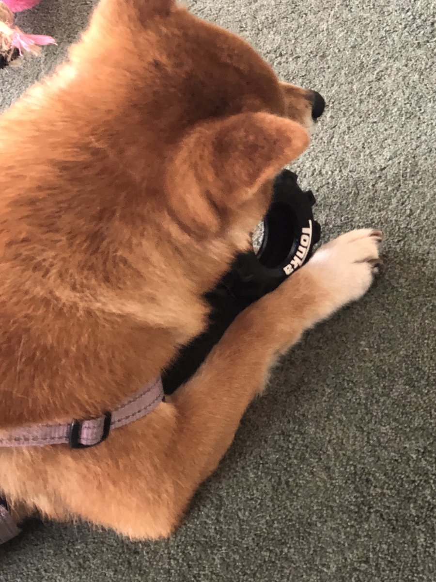 Thanks Santa #SecretSantaNZ2020