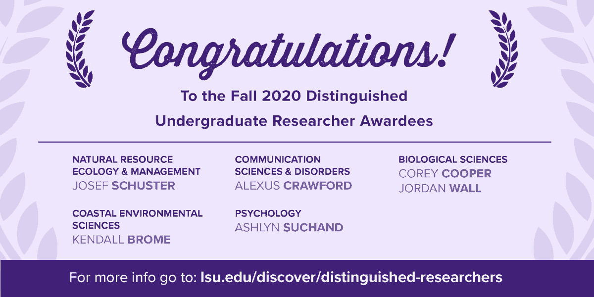 lsu_our's tweet photo. We're proud to announce our Fall 2020 Distinguished Undergraduate Researcher Awardees! Congrats to this highly accomplished group of undergraduate researchers for working so hard during this extremely challenging year! #LSU #lsudiscover #undergraduateresearch #lsuresearch https://t.co/YOOHtC9Mun