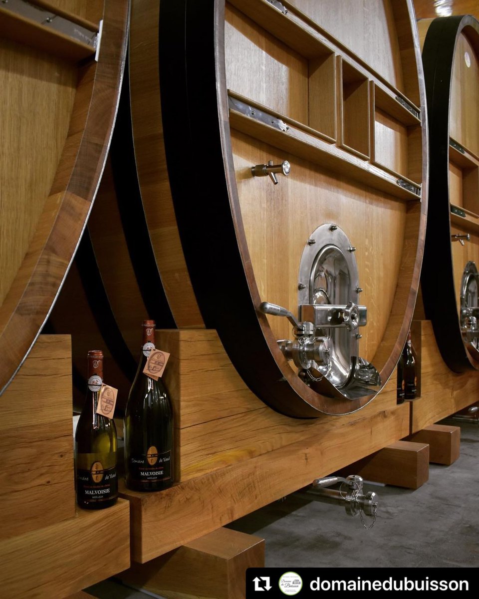 #Repost @domainedubuisson 
・・・
Tic tac tic tac...⏳ Plus que quelques mois avant de pouvoir déguster notre Malvoisie Coteaux d’Ancenis « Domaine de Viaud » élevé 6 mois en foudres de chêne français !

#domainedubuisson #domaineviticole #domainefamilial #vins