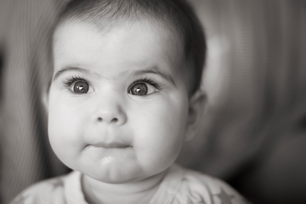 MyLittleTribe1's tweet photo. Look at those gorgeous eyes! 

A photograph..that captures this gorgeous tribe member! xx 

#mylittletribe #tribelet #family #photography #familyphotography #melbournephotographer #melbournefamilyphotographer https://t.co/io5kWt3Xie