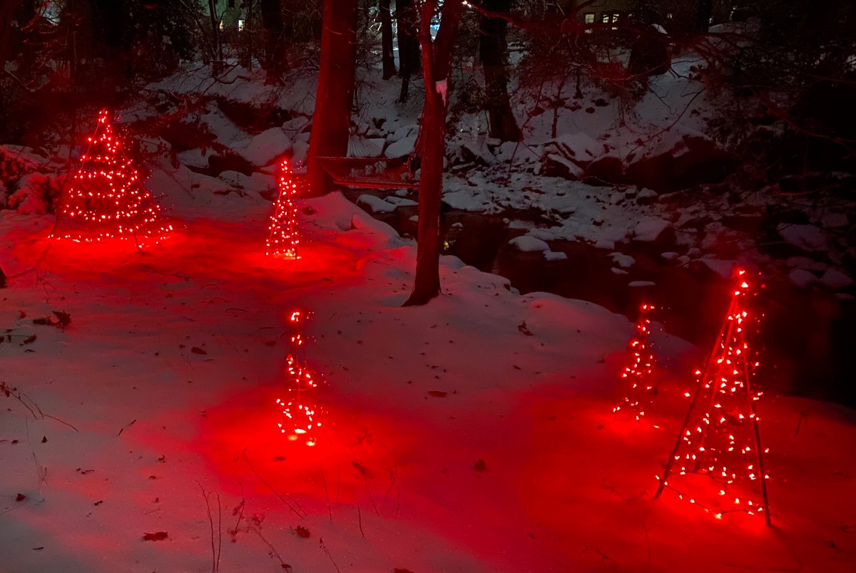 HonestHypocrite's tweet photo. Y’all would not believe the number of lights i have put up outside this year. i think all of them. this is the backyard facing #Shellpotcreek , so not even the front. Now made more beautiful by the snow. I did this this morning. #netDE #delsnow https://t.co/OIW19fZdZR