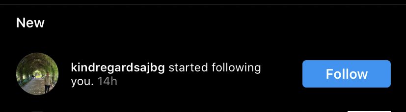 SKOBcricket's tweet photo. Very exciting to see this notification come through on the socials- the great @alexjbg410 hopping on the Insta train!

Make sure you’re following the club on Instagram, more content coming!

#rising https://t.co/Xl24DiZdAx