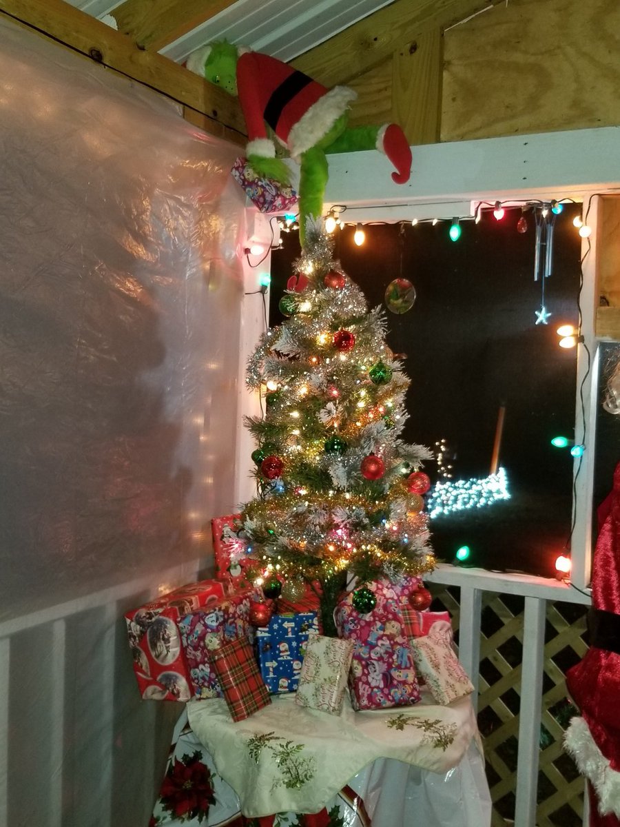 Grinch caught on camera