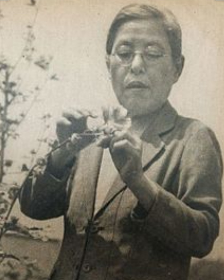 MomStuffPodcast's tweet image. New Episode! Female Firsts: Kono Yasui

On this episode of female firsts, @yvesjeffcoat brings us the story of Kono Yasui, the first Japanese woman to get doctorate in science. iheart.com/podcast/stuff-…

#womenmakinghistory #femalefirst #womeninscience #womenmakingchange #history