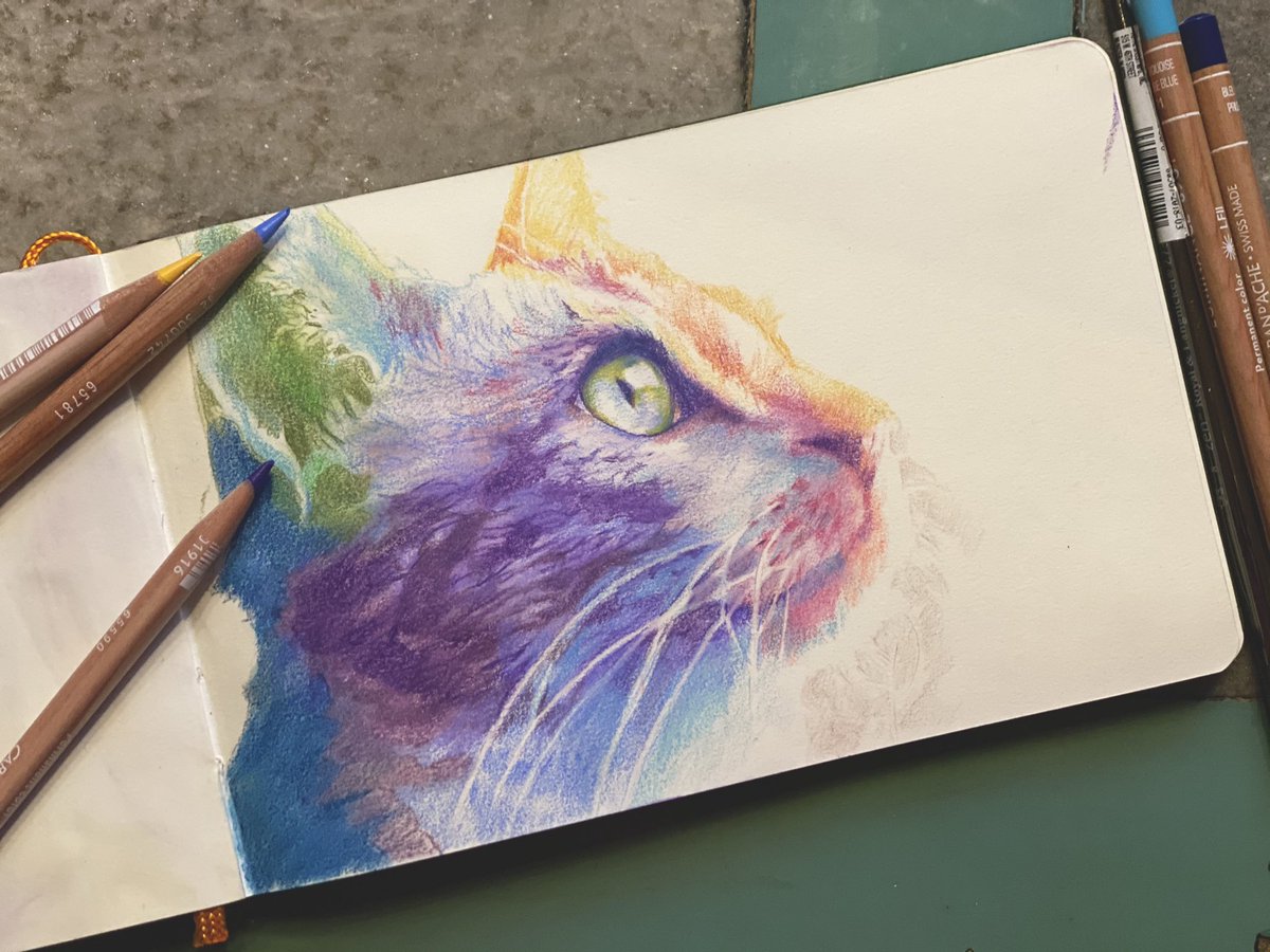 Two more 20 minutes sessions today between chapters.