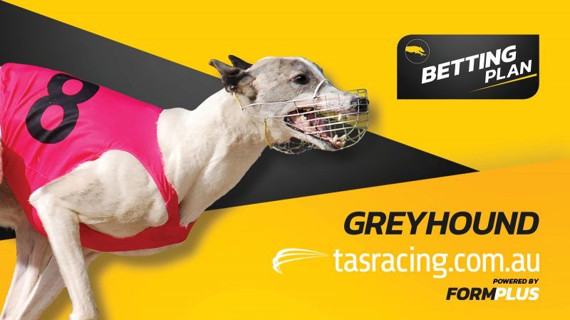 It's a Group 1 night of racing in Hobart this evening and Mike Clarke's Betting Plan is ready to go for all 10 races - bit.ly/388lYdq