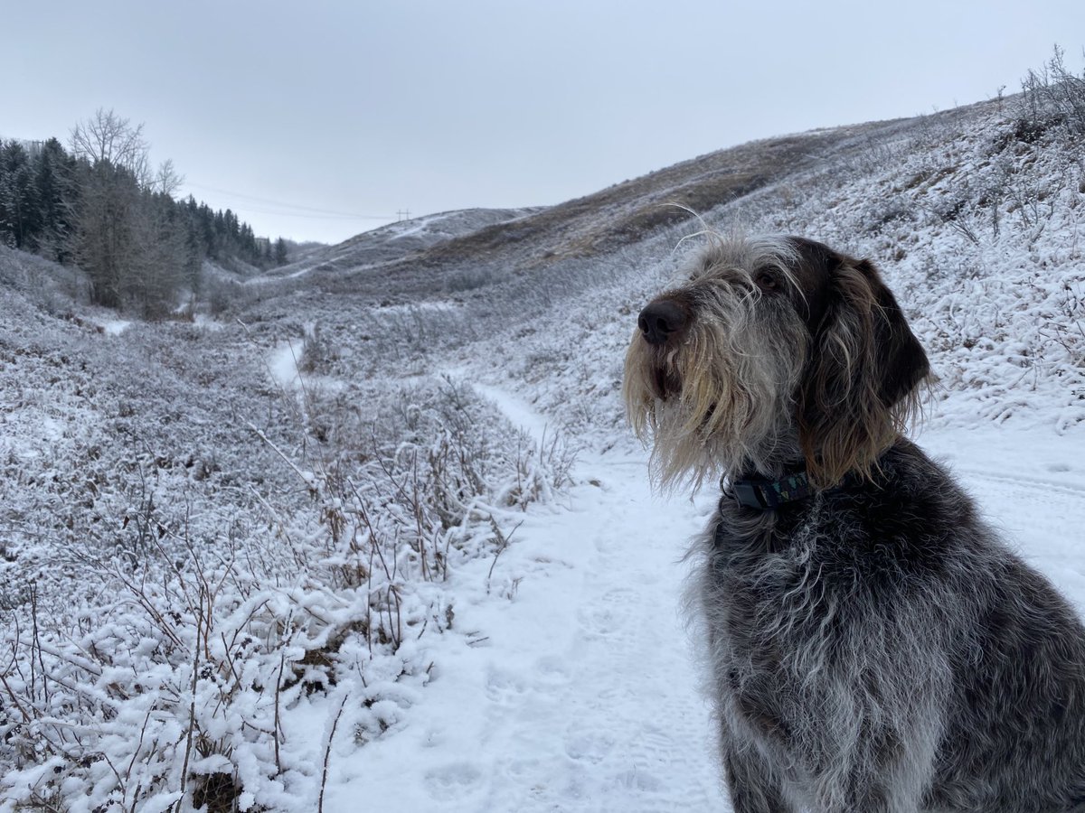 Enjoying our winter! #stayactive