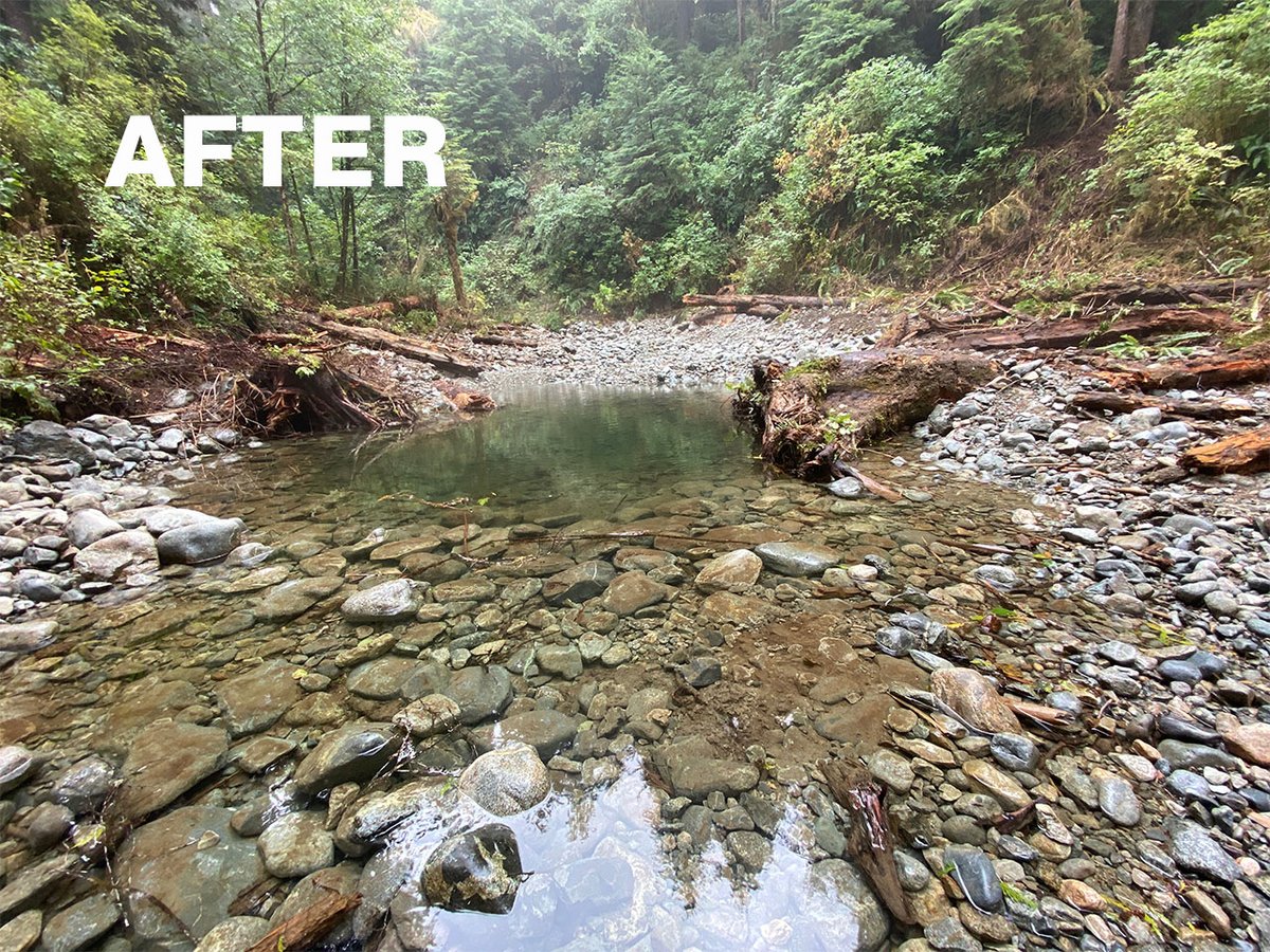 PacificRimNPR's tweet photo. @ParksCanada &amp; Ditidaht First Nation have recently restored salmon streams in #PacificRimNPR making it possible for salmon to spawn in the area for the first time in 20 years! 
https://t.co/rg0H8EvGNB 
#conservation #ecosystems #CheewahtWatershed https://t.co/5g7uMLFyyl